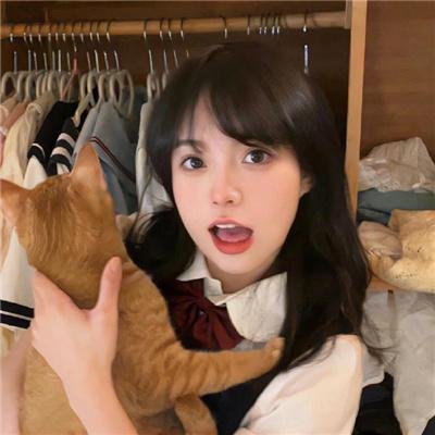芬妮的勇敢旅程